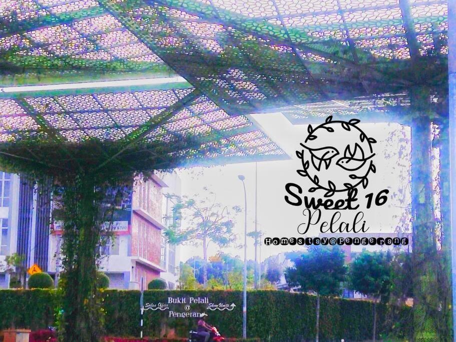 Sweet 16 Pelali Homestay Pengerang Esterno foto